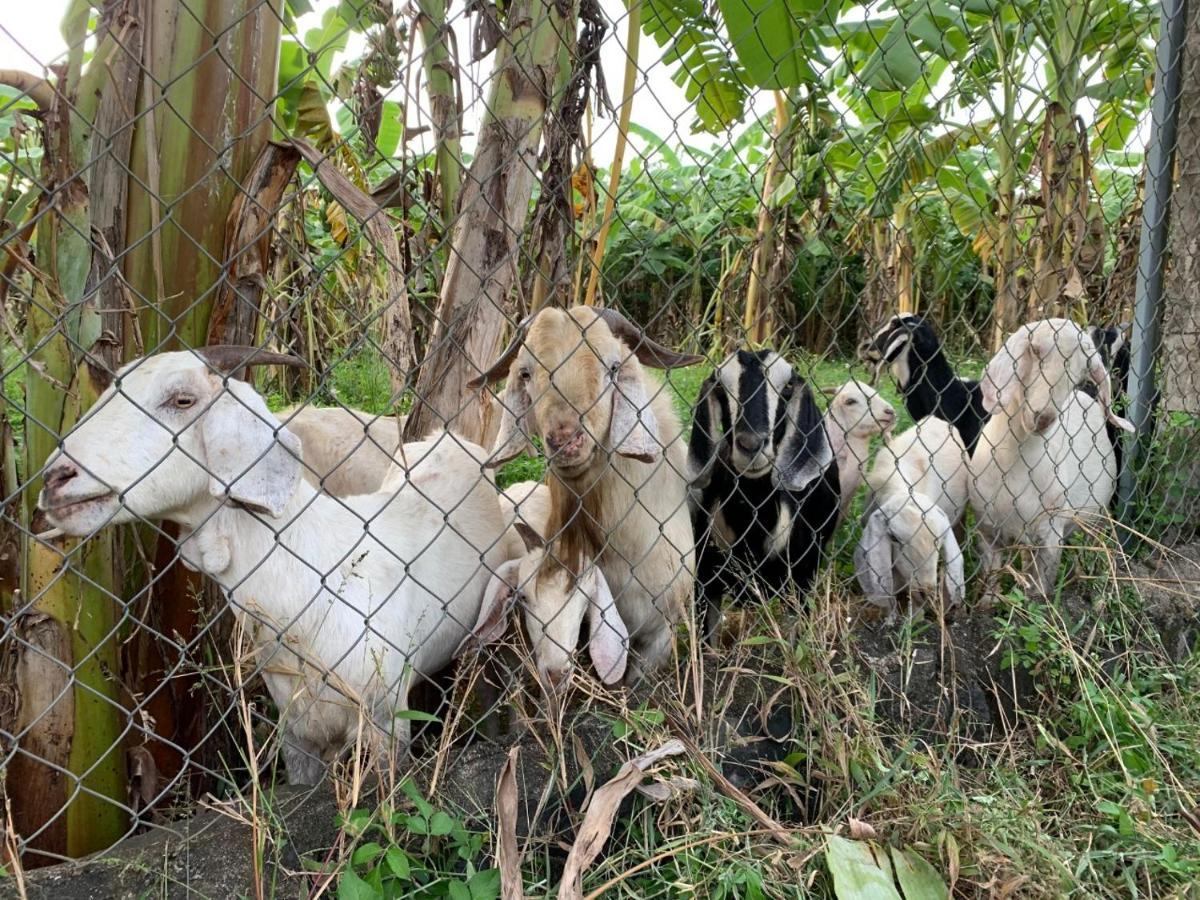 Homestay Tay Xa Trang Bom Zewnętrze zdjęcie