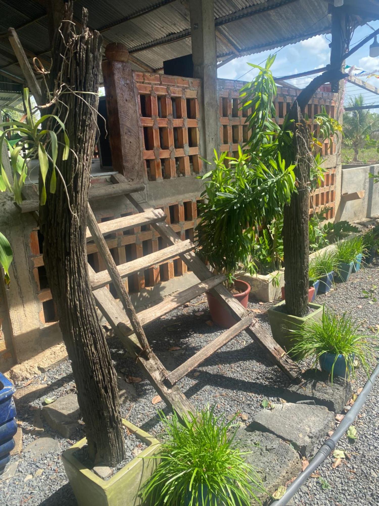 Homestay Tay Xa Trang Bom Zewnętrze zdjęcie