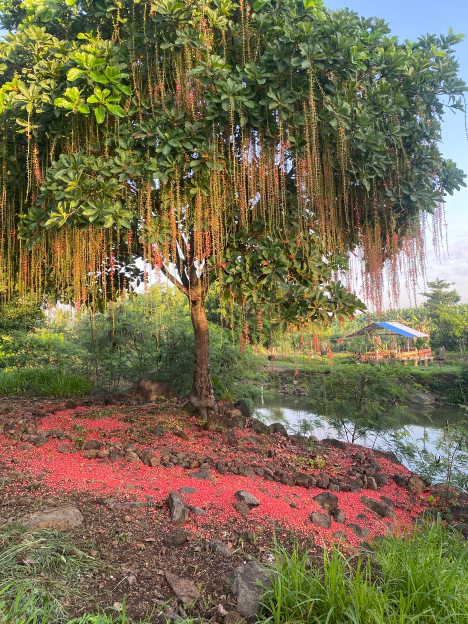 Homestay Tay Xa Trang Bom Zewnętrze zdjęcie